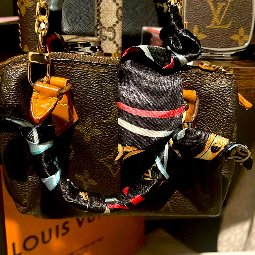 Louis Vuitton Speedy Nano MOST SOUGHT AFTER BAG